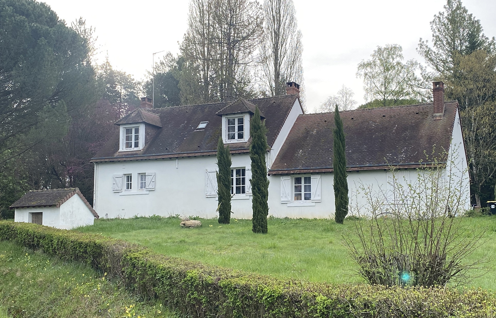 Before image