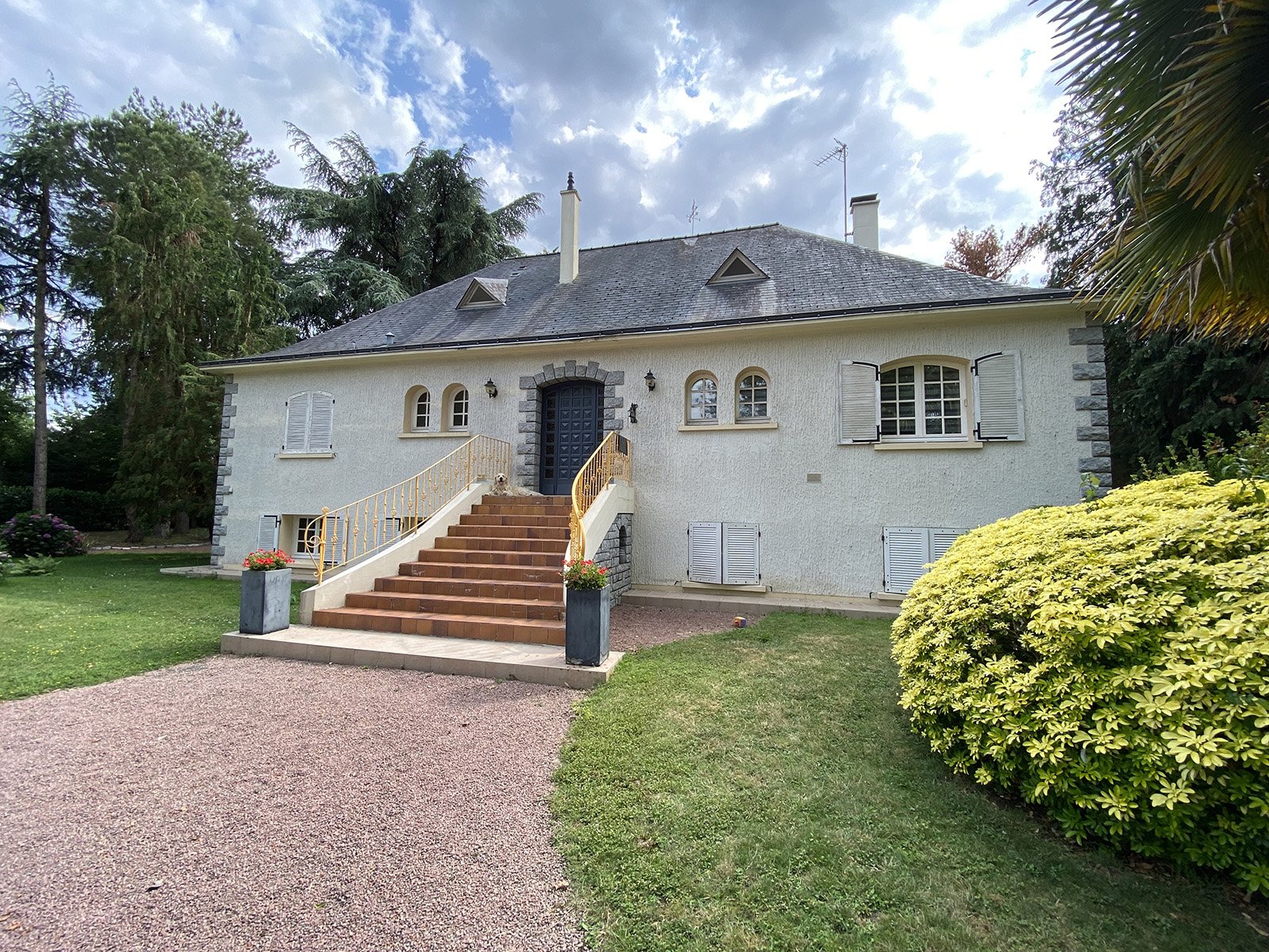Before image