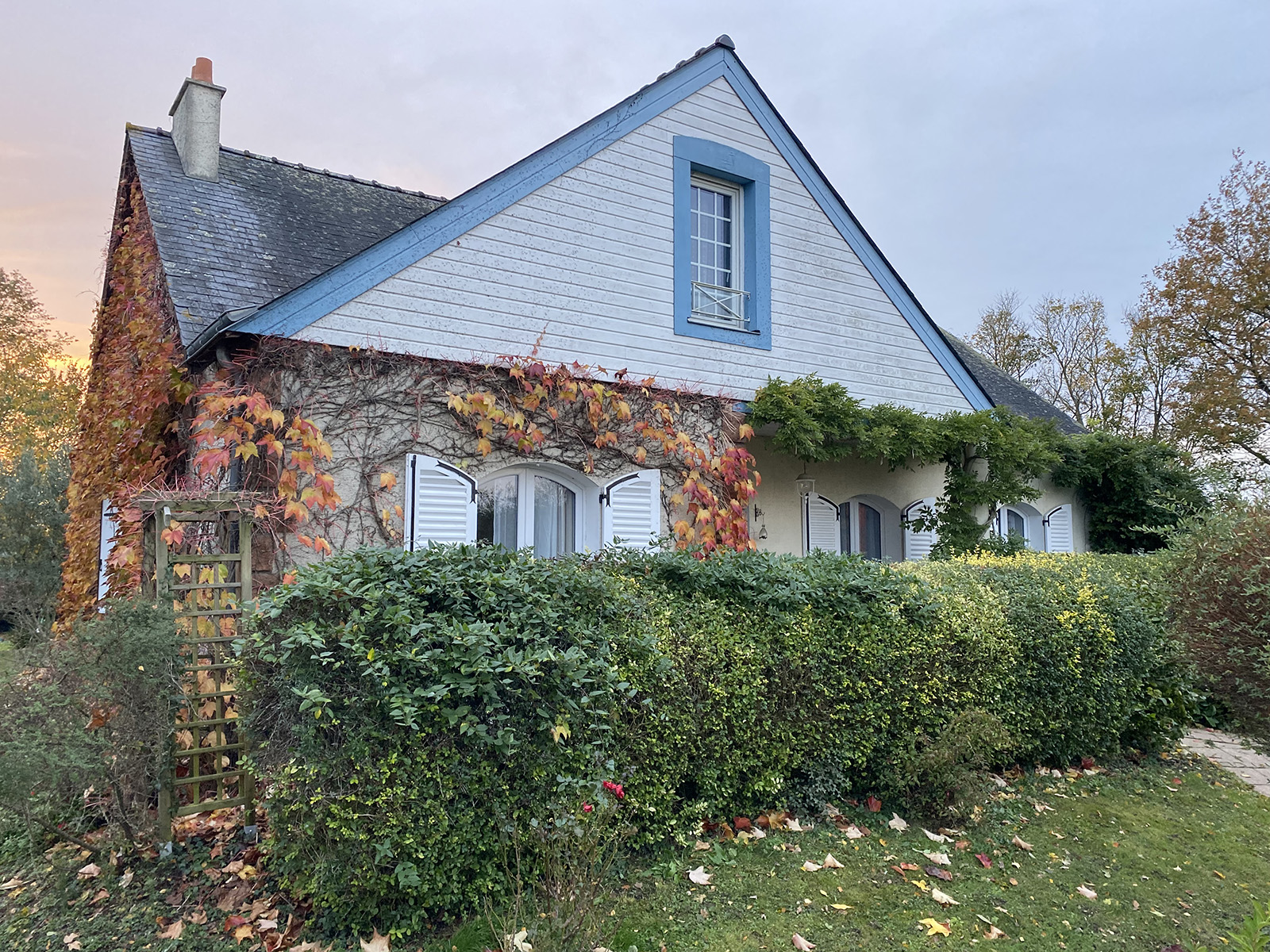 Before image