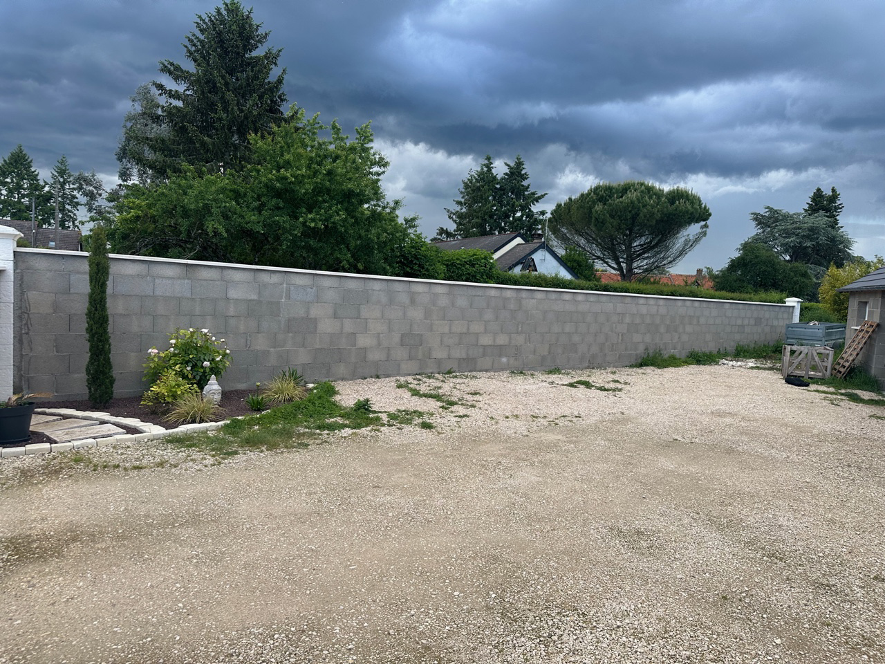 Before image