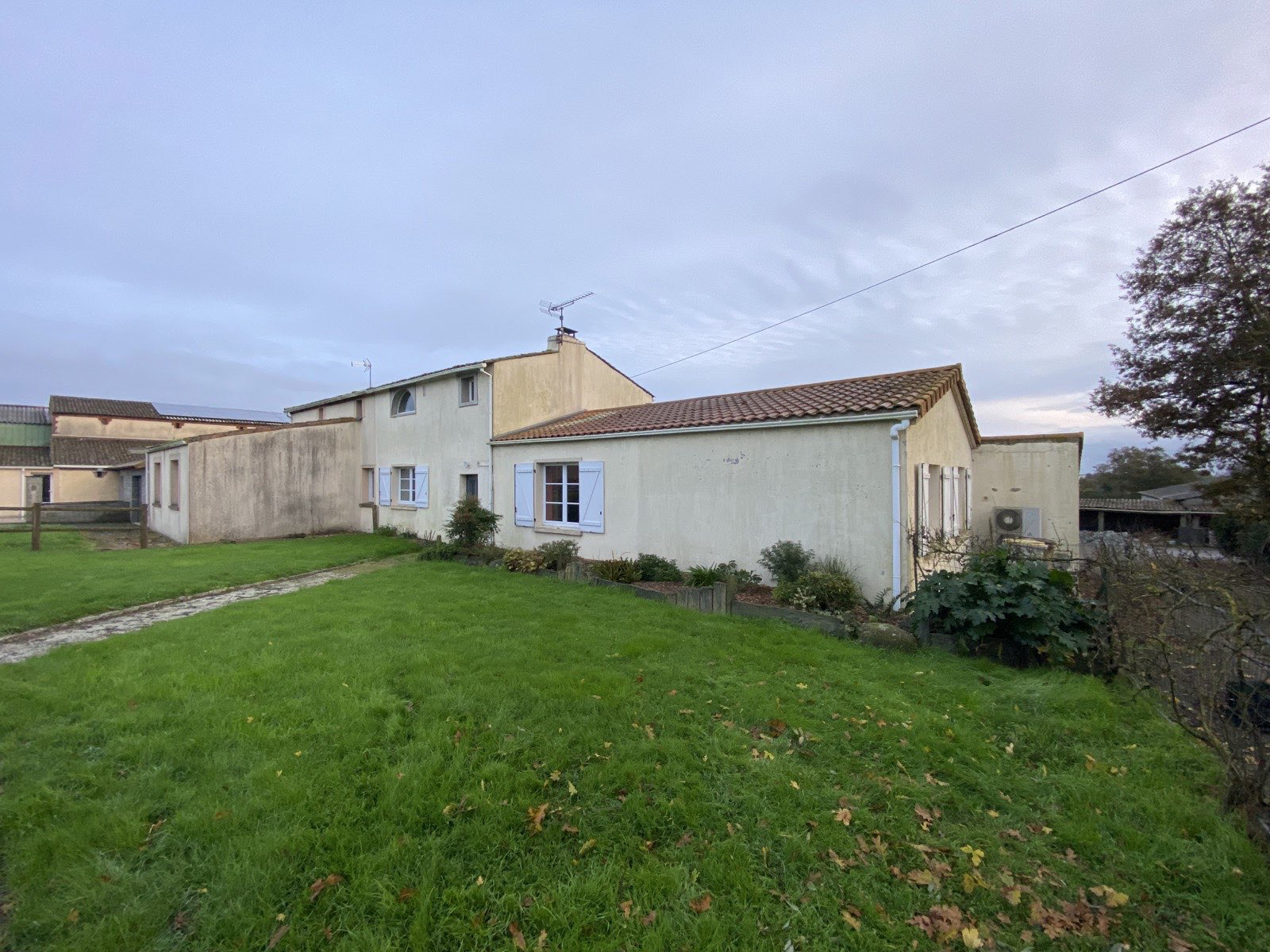 Before image